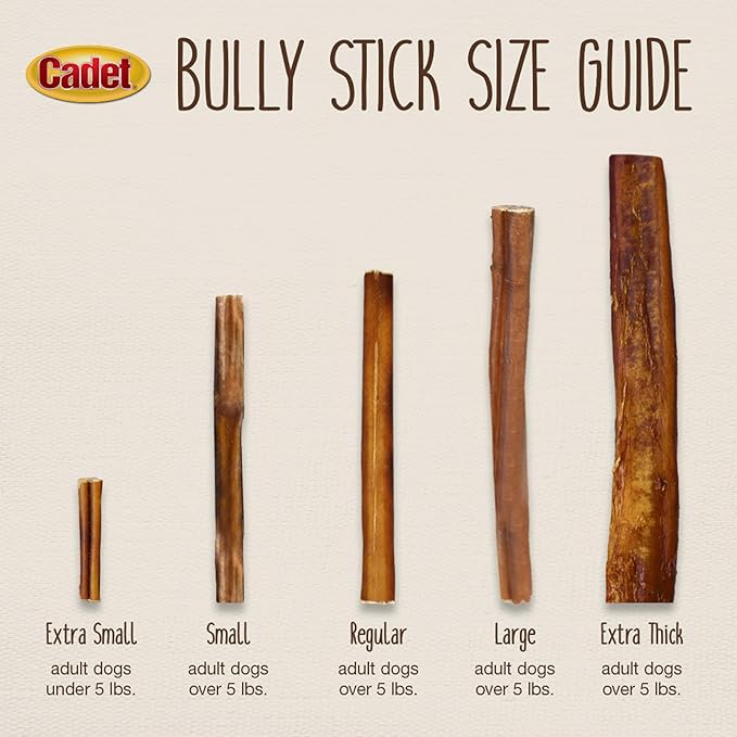 Cadet Bully Sticks for Large Dogs, All-Natural Beef Pizzle, Rawhide-Free Long-Lasting Dog Chews for Aggressive Chewers, 1 Count
