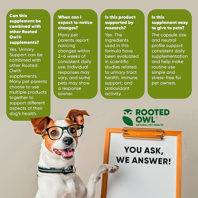 Rooted Owl Urinary Support - Echinacea and Cranberry Supplement for Dogs - Dog UTI Prevention - 60/ct