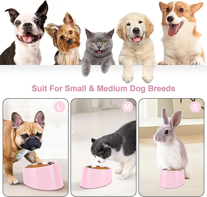 Tilted Dog Bowl Non-Slip & Non-Spill Pet Feeder with Elevated Detachable Melamine Stand, Easy to Get Food Dog Dish, M/180ml Pink
