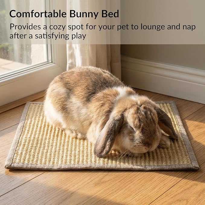2 PCS, Rabbit Sisal Scratching Mat & Pine Wood Board Set, Indoor Natural Bunny Scratching Pad Toys, Bunny Bed and Bedding, for Claw Grinding & Boredom Relief, for Guinea Pigs, Chinchillas, Hamsters