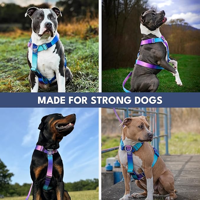 Spark Paws No Pull Dog Harness with Handle for Large Dogs, Heavy Duty Dog Harness for Big Strong Breeds, Adjustable, Y Shaped Padded Halter Design with Front Clip - 90s Retro - L