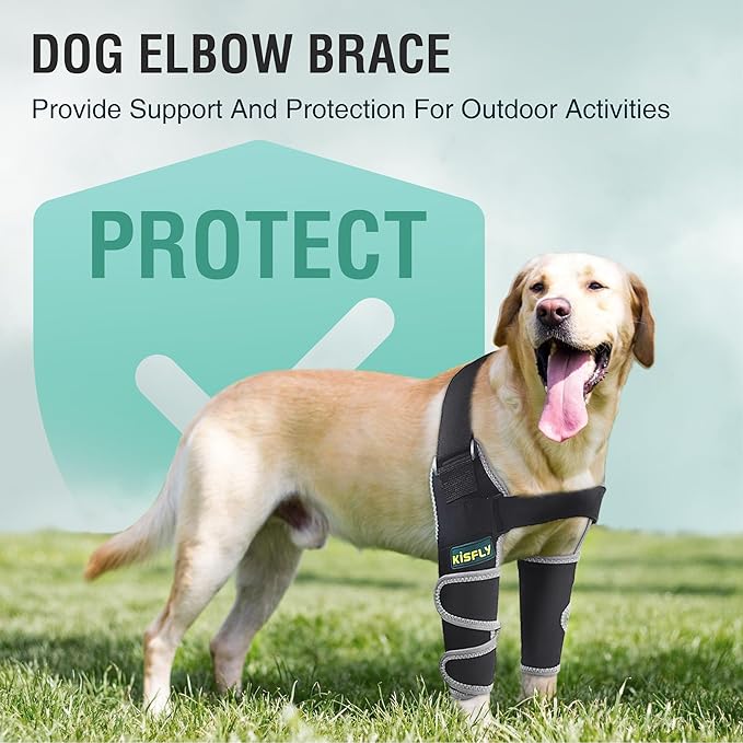 Dog Front Leg Brace, Provides Elbow & Shoulder Support, Helps with Osteoarthritis, Hygroma & Calluses, Prevents Licking with Reflective Material, Right Leg, Size XL