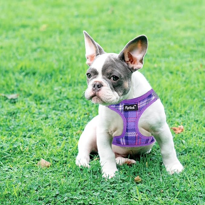 PUPTECK Dog Harness and Leash Set for Small Medium Dogs No Pull Step-in Soft Mesh Puppy Cat Vest Harnesses Reflective at Night, Plaid Pattern Purple M