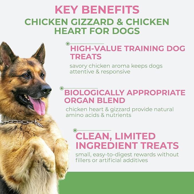 Momentum Carnivore Nutrition Freeze-Dried Chicken Training Bites – Two Ingredients-Chicken Gizzard and Heart, All-Natural Dog Treats –Made in USA – Perfect for Training & Rewards- 2.5 oz Bag