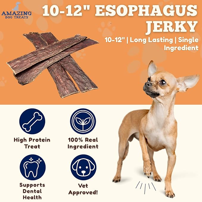 Amazing Dog Treats - Beef Esophagus Jerky for Dogs (10-12 Inch - 30 Pc/Pack) - Gullet Dog Chews