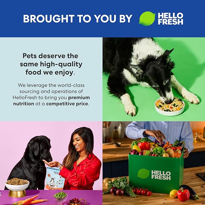 The Pets Table Grain Inclusive Air Dried Dog Food 2 Pack - Chicken & Sweet Potato + Lamb & Beef, 48 Ounce (Pack of 2)