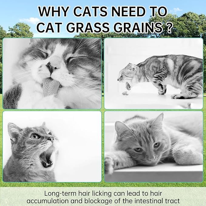 Freeze-Dried Cat Grass Dental Treats - Natural Teeth Cleaning Chews,Hairball Control,Grain-Free Edible Snacks for Indoor Cats & Kittens (80g)