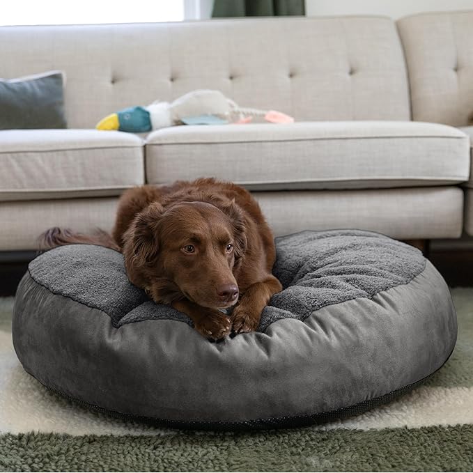 JAXX Robbi Dog Bed Bean Bag – Round Bed with Machine Washable Cover and No-Slip Base - Supportive Memory Foam for Senior Dogs & Joint Pain Relief - Ultimate Comfort & Luxury - Medium, Grey/Charcoal