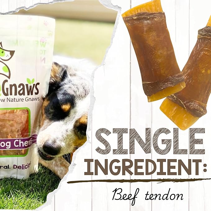Nature Gnaws Beef Tendon Wraps for Dogs (5 Count) - Long Lasting for Aggressive Chewers - Natural Beef Dog Chew Bones - Rawhide Free