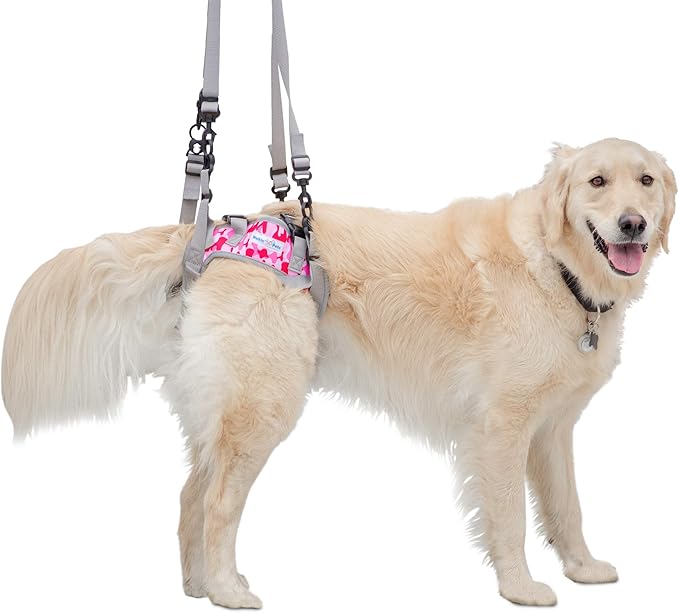 Warrior Rear Dog Harness for Mobility | Adjustable Handles | Helps Dogs with Arthritis, Senior Dogs and Pets Recovering from Surgery