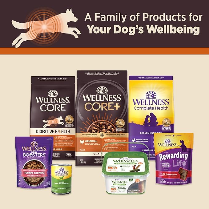 Wellness CORE Digestive Health Chicken Grain Free Wet Dog Food, 13 Ounce Can (Pack of 12)