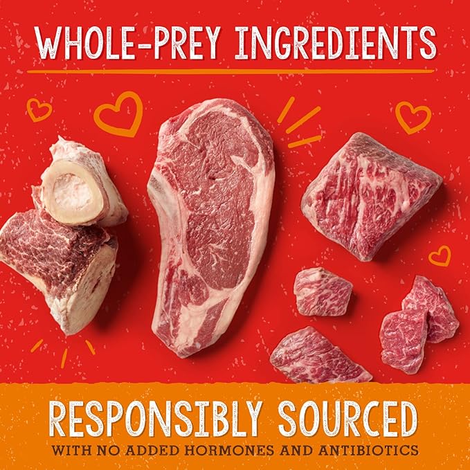Stella & Chewy's Freeze-Dried Raw Dog Food for Digestive Health - Grass-Fed Beef Dinner Morsels - Natural Solution for Sensitive Stomach, Gas & Firm Stools - Premium Raw Nutrition - 13oz