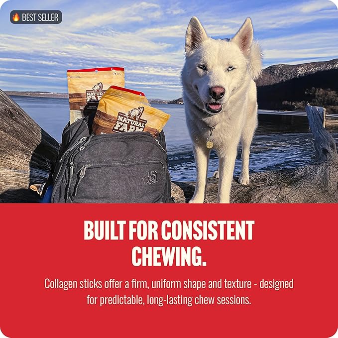 Natural Farm Odor-Free Super Braided Collagen Dog Chews (12-Inch, 5-Pack) First Ever Real Bull Sticks Alternative: 100% Natural Angus Hide Collagen Treats - More Protein, More Chew Time for All Dogs