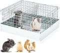 DoubleFill 2 Hole Cavy Transport Cage 16 x 14 x 8 Inch, Chinchilla Hamsters Chicks Rabbit Carrier for Travel Temporary Housing, Indoor Outdoor Pet Habitat Animal Enclosure