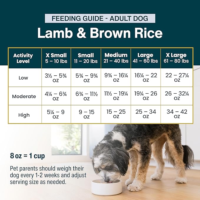 JustFoodForDogs Frozen Fresh Dog Food, Complete Meal or Topper, Lamb & Brown Rice Human Grade Dog Food Recipe,18 oz (Pack of 21)