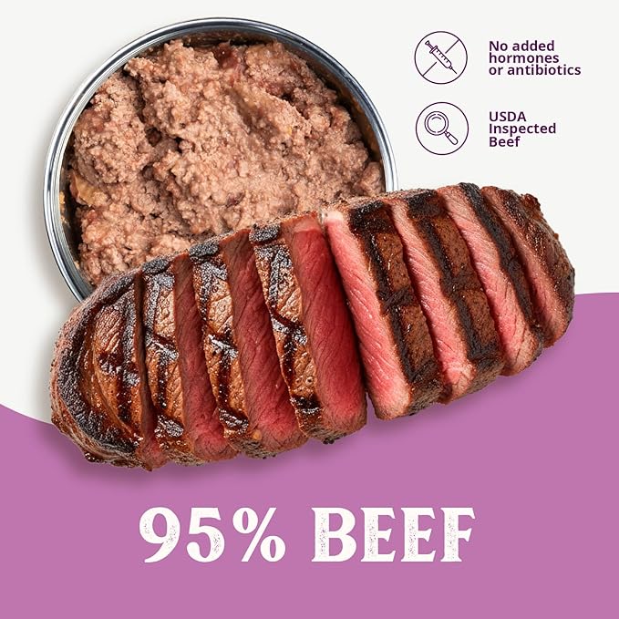 Health Extension 95% Beef Grain-Free Wet Dog Food, High Protein Recipe, Limited Ingredients, Picky Eaters, Ideal for Sensitive Stomachs 12.5 oz (Case of 12)