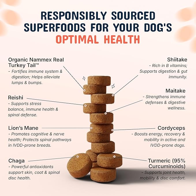Pets are Kids Turkey Tail Mushroom for Dogs with Organic Real Turkey Tail™ - 8:1 Extract Mushroom Chews for Lumps & Bumps, Immunity, Gut, Skin, Joint & Spine Support - Reishi, Lion’s Mane - 60 Chews