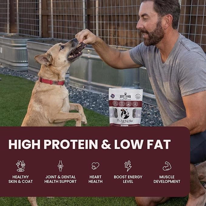 Beef Chips | 100% Single-Ingredient Beef Jerky Dog Treats | Healthy, Natural Treats for Dogs | High-Protein, Grain-Free, Ideal for Training & Sensitive Stomachs | Made in Texas, 4oz
