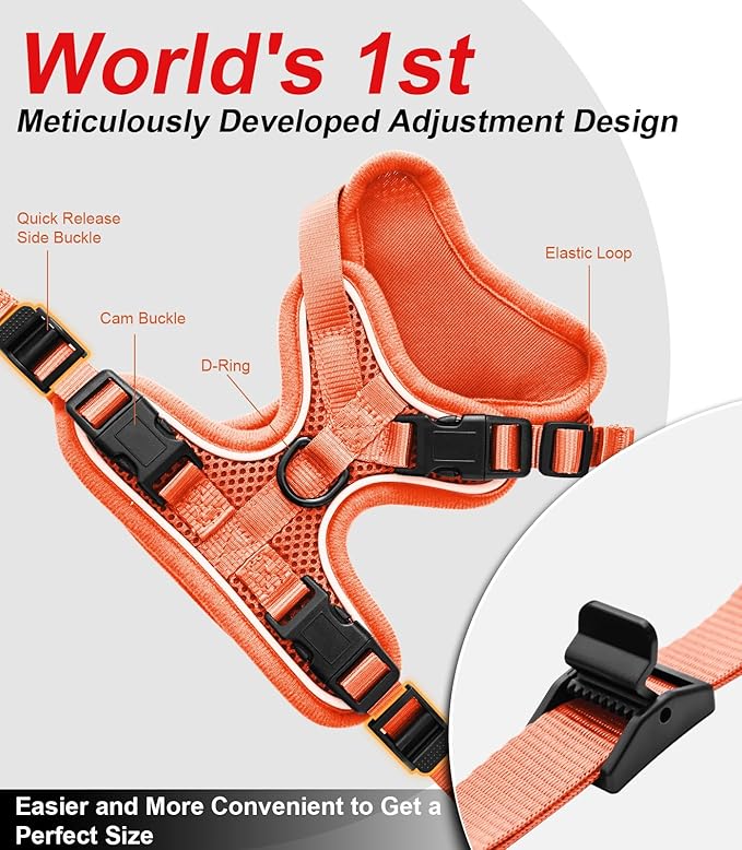 Cat Harness and Leash for Walking Escape Proof Soft Adjustable Cat Leash Breathable Comfortable Vest Easy to Wear Kitten Harness for Outdoor Travel (Orange, XS (4-6lb))