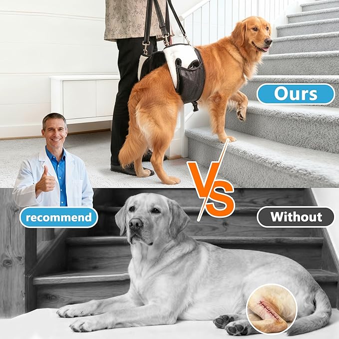 Dual-use Dog Lift Rehab Hareness Canine Sling for Large Pooch Rear Legs and Hip Support,Adjustable and Soft Brace Strap for After ACL Surgery, Helps Senior, Injured and Disabled K9