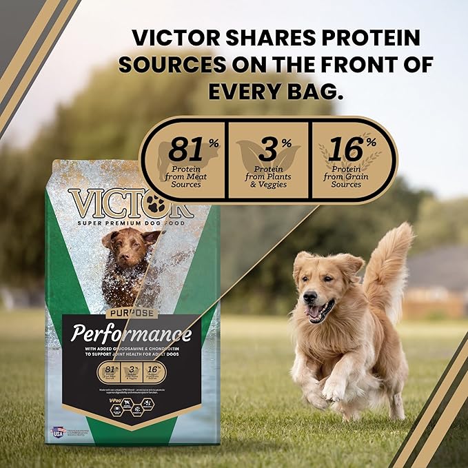 VICTOR Super Premium Dog Food – Performance Dry Dog Food from Beef, Chicken and Pork Meal – 26% Protein for Active Adult Dogs – Includes Glucosamine and Chondroitin for Hip and Joint Health, 5lbs