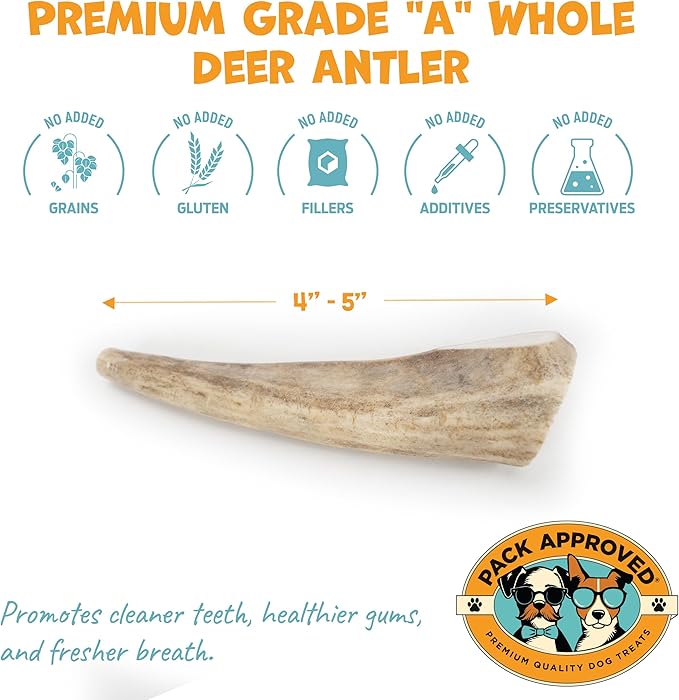 Whole Deer Antler for Dogs - Long Lasting Chews for Aggressive Chewers - Single Ingredient Odorless Treat for Small & Medium Dogs - 4-5" (1ct)