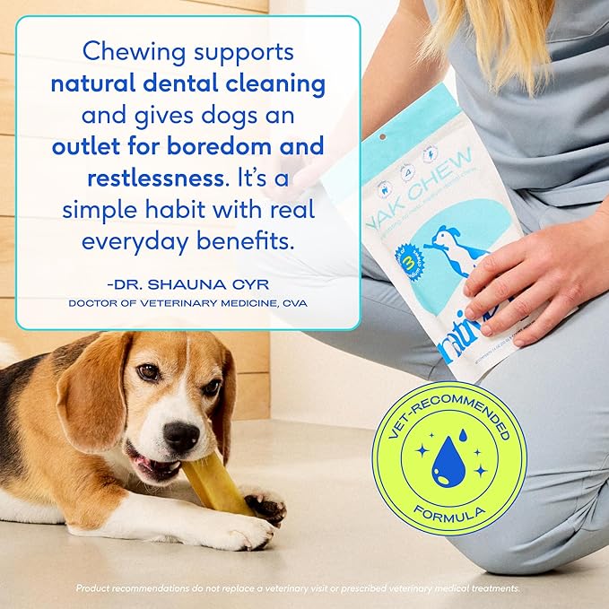 Native Pet Yak Cheese Himalayan Dog Chews - Long Lasting Dental Sticks for Small Breeds– 100% All Natural Himalayan Yak Chews for Small Dogs – Cheese Bone for Aggressive Chewers - 15 Per Pack
