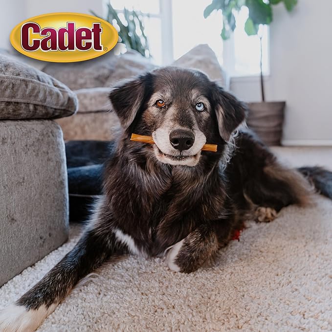 Cadet Chewalicious Classic Chewy Twists with Real Peanut Butter, Rawhide-Free Healthy Dog Chews, Limited-Ingredient & Long-Lasting Chew Treats for Dogs, Peanut Butter Flavor, 15 Count