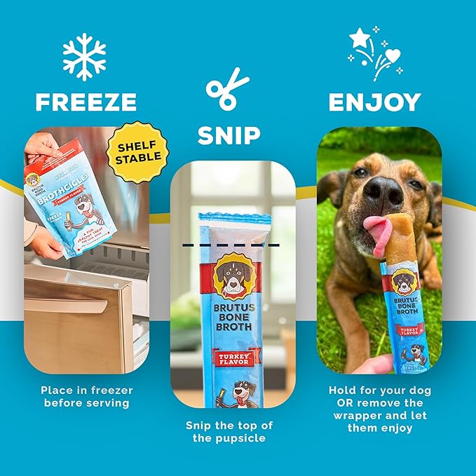 Brutus Brothcicles - All Natural Turkey Flavored - Frozen Dog Superfood Treats for Hydration and Snacking
