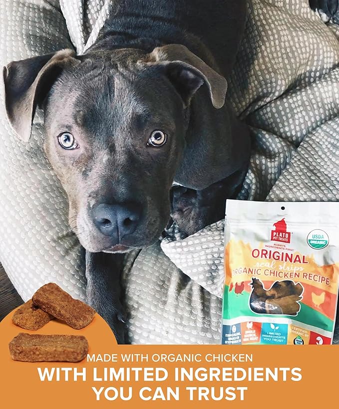 PLATO Pet Treats Real Strips Dog Treats – USDA Organic Chicken – Air-Dried High Protein Dog Treats – Limited Ingredient, Nutrient Dense, No Fillers – Made in USA – 6 oz