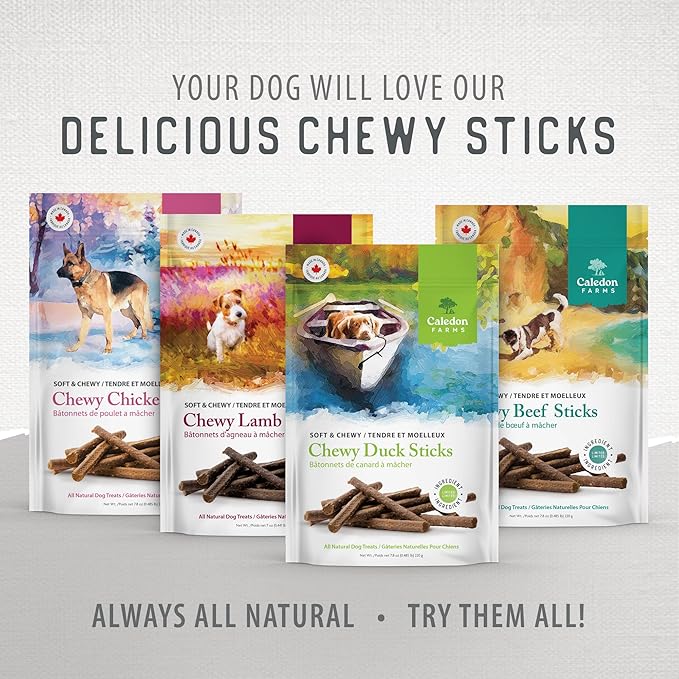 Caledon Farms Value Pack Chewy Beef Sticks,680G/24OZ