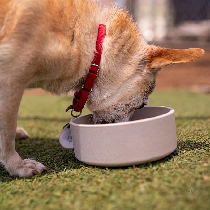 Loving Pets - Dolce Bamboo - Eco-Friendly Pet Bowls & Dishes for Dog, Cats, Puppy Food and Water Dish -Sustainable and Dishwasher Safe, Made with Real Bamboo (Large, Oat-Beige)