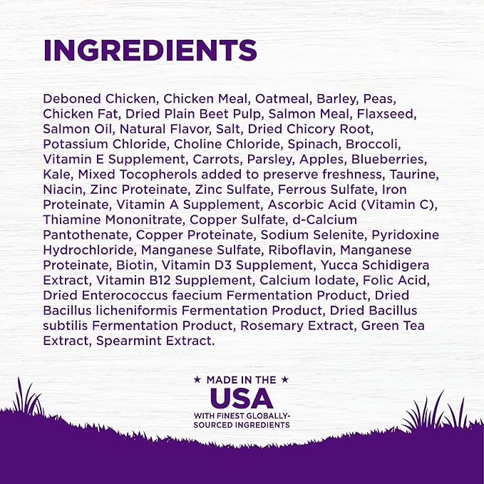 Wellness Complete Health Puppy Dry Dog Food, Wholesome Grains, Natural, Chicken, Oatmeal, & Salmon Recipe, (5-Pound Bag)