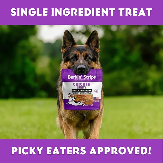Barkin Burger Strips Made of Only Chicken Grain-Free Dog 12 oz Premium One-Ingredient Digestive Support Dog Jerky Treats, Made in USA Small Batch Healthy Single ingrediens Training Treats