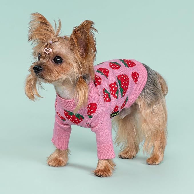 Fitwarm Adorable Strawberry Dog Sweater, Thermal Dog Winter Clothes for Small Dogs Girl, Pet Outfit, Pink, Red, White, Green, Large