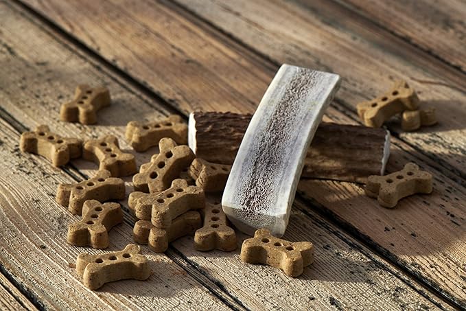 Buck Bone Organics Dog Biscuits, Made with Real Antler and Organics Ingredients (Mini's 16 OZ)