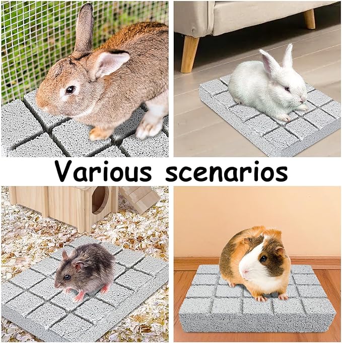 Hamiledyi 6PCS Rabbit Scratching Pads - Lava Stone Grinding Claw Pads & Chew Toys for Small Animals, Hamster, Chinchilla, Hedgehog, Guinea Pig Cage Accessories