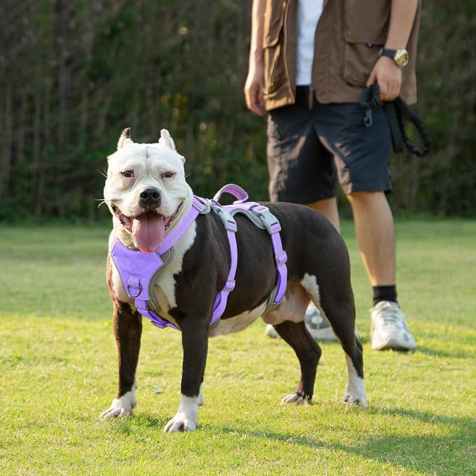 Huntboo Escape Proof Dog Harness, Escape Artist Harness, Reflective Harness with Padded Handle, Breathable, Adjustable Vest for Medium Dogs Walking, Training, and Running Gear (Lavender Purple,XL)