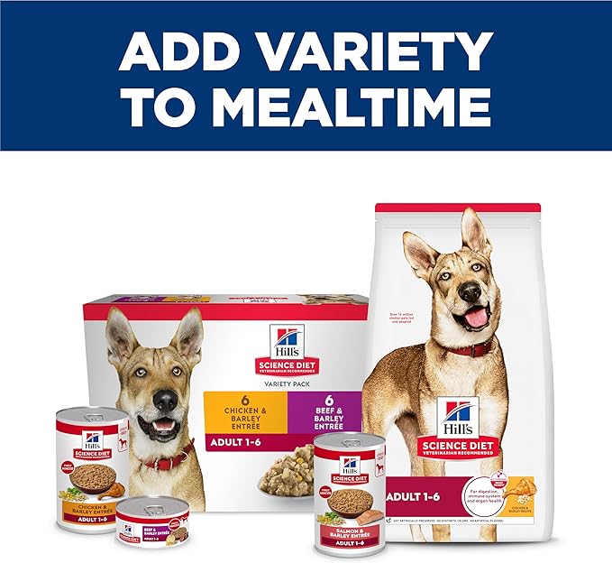 Hill's Science Diet Adult 1-6 Wet Dog Food, Salmon & Barley, 13 oz. Cans, 12-Pack