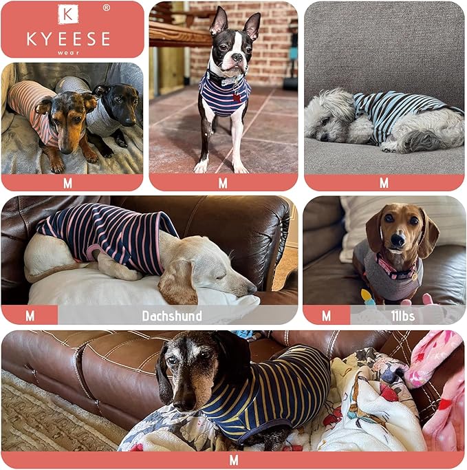 KYEESE 2Pack Dog Sweater Turtleneck Small Pets Sweaters Pullover Pet Sweatshirt Stretchy Dogs Clothes Soft Pets Clothes Warm Pet Coats Dog Sweaters for Small Dogs Male
