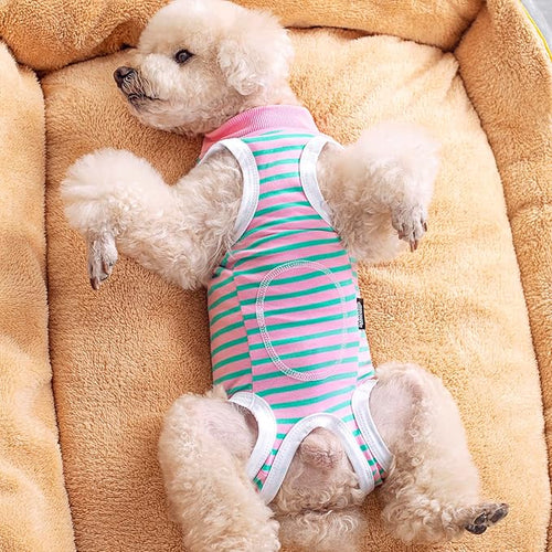 2 Packs Pet Dog Recovery Onesie Suit for Dogs Cats After Surgery,Dog Abdominal Wounds Bandages Cone E-Collar Alternative. (Grey, XXL)