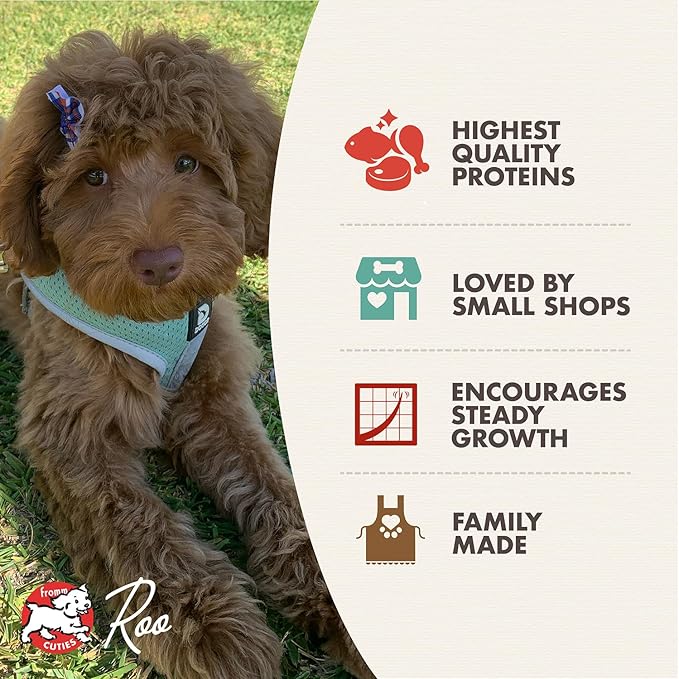 Fromm Heartland Gold Large Breed Puppy Dry Dog Food - Dry Puppy Food for Large & Giant Breeds - Beef Recipe - 12 lb