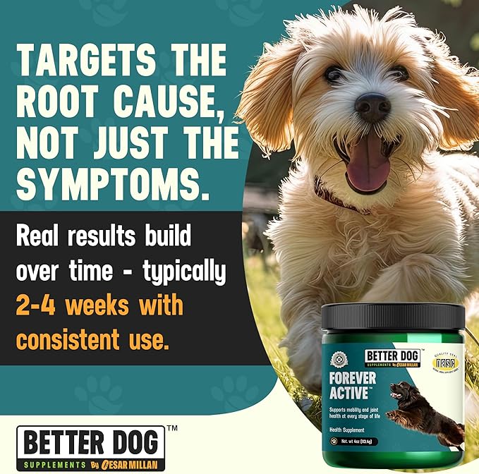 Better Dog Supplements Forever Active by Cesar Millan – Natural Dog Hip & Joint Care for Mobility, Flexibility & Comfort – Herbal Blend Dog Joint Supplement Powder – 4oz (60-Day Supply)
