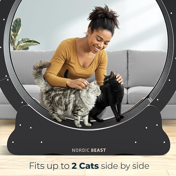 Nordic Beast 48'' XL Cat Wheel – Safe, Quiet & Stable Exercise Wheel for Large Indoor Cats up to 45 lbs – 15.7'' Extra-Wide Surface Fits 2 Cats Side by Side & Prevents Wobbling, 1-Year Warranty