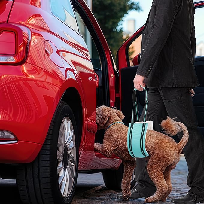 AIITLE Dog Sling for Large Dogs Hind Leg Support - Adjustable Reflective Design with Plush Padding, Ideal for Senior/Arthritic Dogs & Post-Surgery Recovery (Turquoise, L)