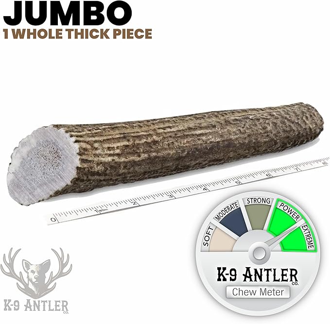 Elk Antlers for Dogs – Jumbo Whole, Durable Chew for Aggressive Chewers, USA Sourced, Naturally Shed & Ethically Harvested.