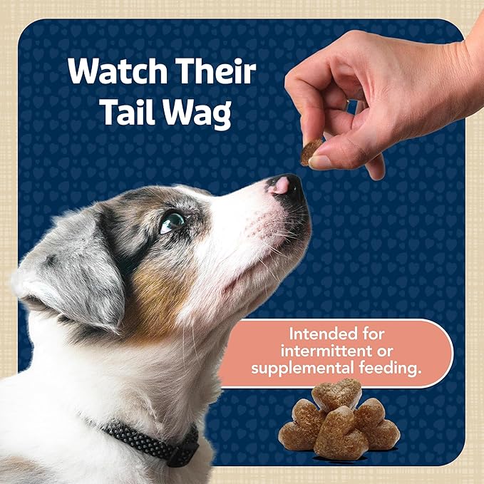 Blue Buffalo Bits Soft Dog Treats for Training, Made with Natural Ingredients & Enhanced with DHA, Salmon Recipe, 4-oz Bag (Pack of 6)