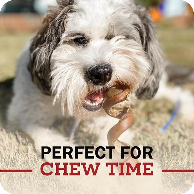 Redbarn Pet Products 12" Braided Bully Sticks for Dogs 2-Count, Pack of 12