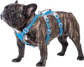 Huntboo Escape Proof Dog Harness, Escape Artist Harness, Reflective Harness with Padded Handle, Breathable, Durable, Adjustable Vest for Medium Dogs Walking, Training, and Running Gear (Blue, M)