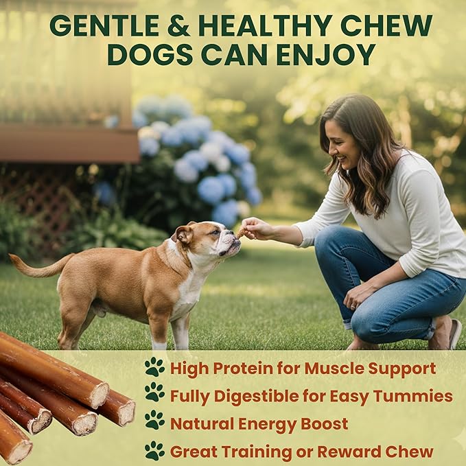 16 Pack 4 Inch Standard Bully Sticks for Dogs – 100% Beef Pizzle, Single Ingredient Rawhide-Free Dental Chews, Long Lasting Natural Dog Treats for Small to Medium Dogs